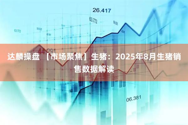 达麟操盘 【市场聚焦】生猪：2025年8月生猪销售数据解读
