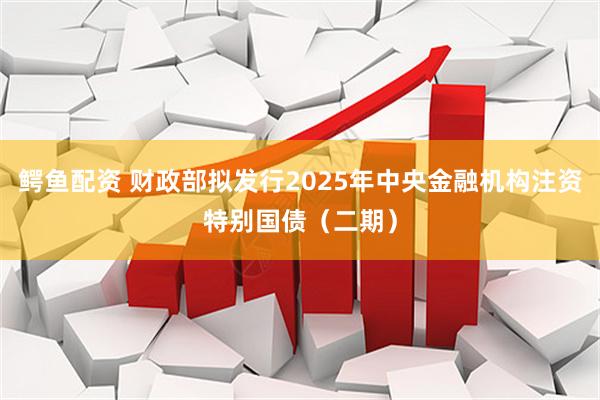 鳄鱼配资 财政部拟发行2025年中央金融机构注资特别国债（二期）