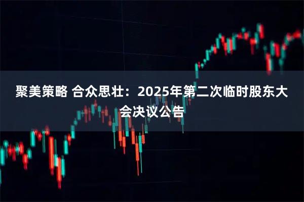 聚美策略 合众思壮：2025年第二次临时股东大会决议公告