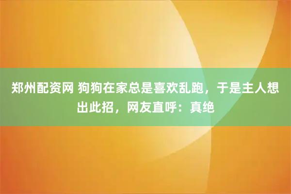 郑州配资网 狗狗在家总是喜欢乱跑，于是主人想出此招，网友直呼：真绝